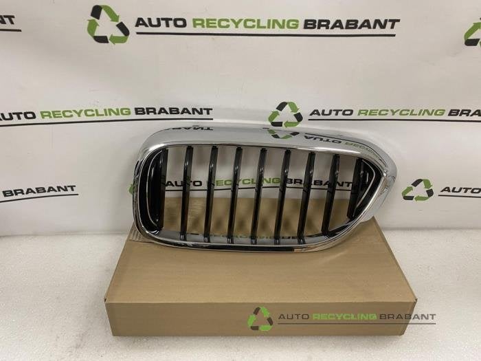 Grille van een BMW 5-Serie, Gebruikt, -, -, Ophalen of Verzenden