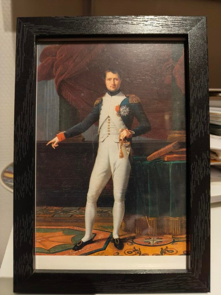 Napoleon, Ophalen of Verzenden, Landmacht, Nederland, Foto of Poster
