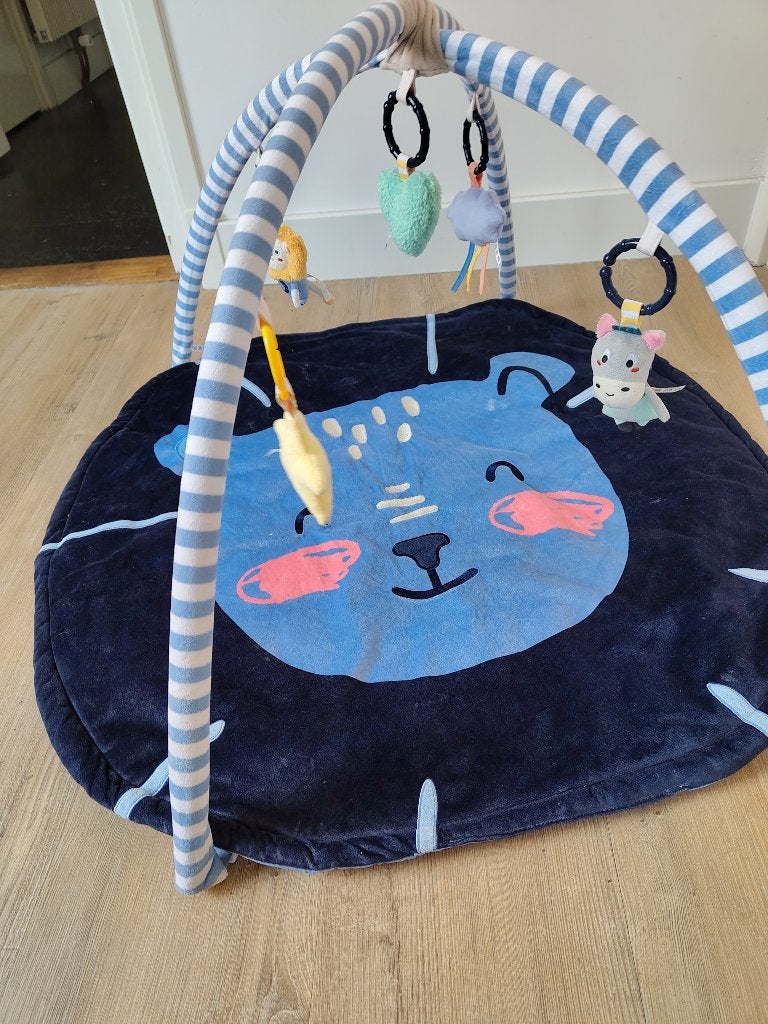 Babygym Lupilu, Ophalen, Gebruikt, Babygym