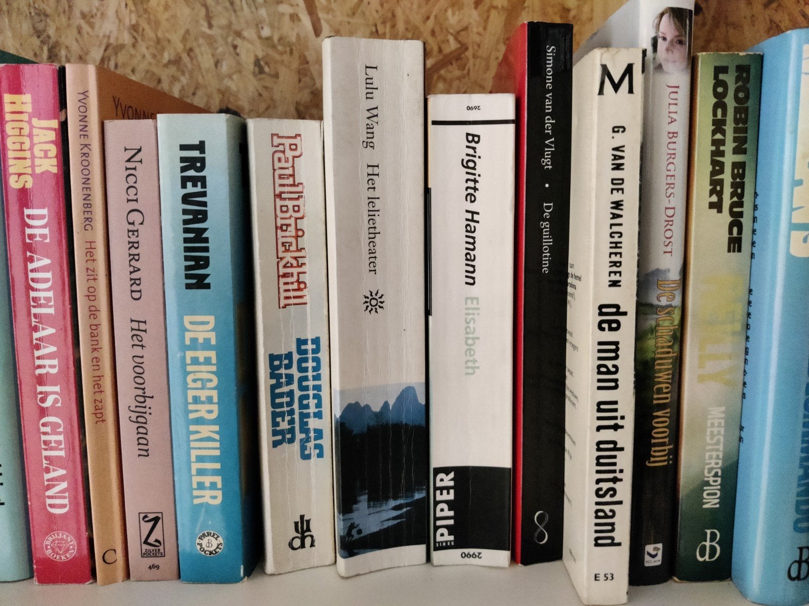 Diverse boeken: thrillers, romans en meer, Ophalen of Verzenden, Gelezen, Diverse auteurs, Nederland