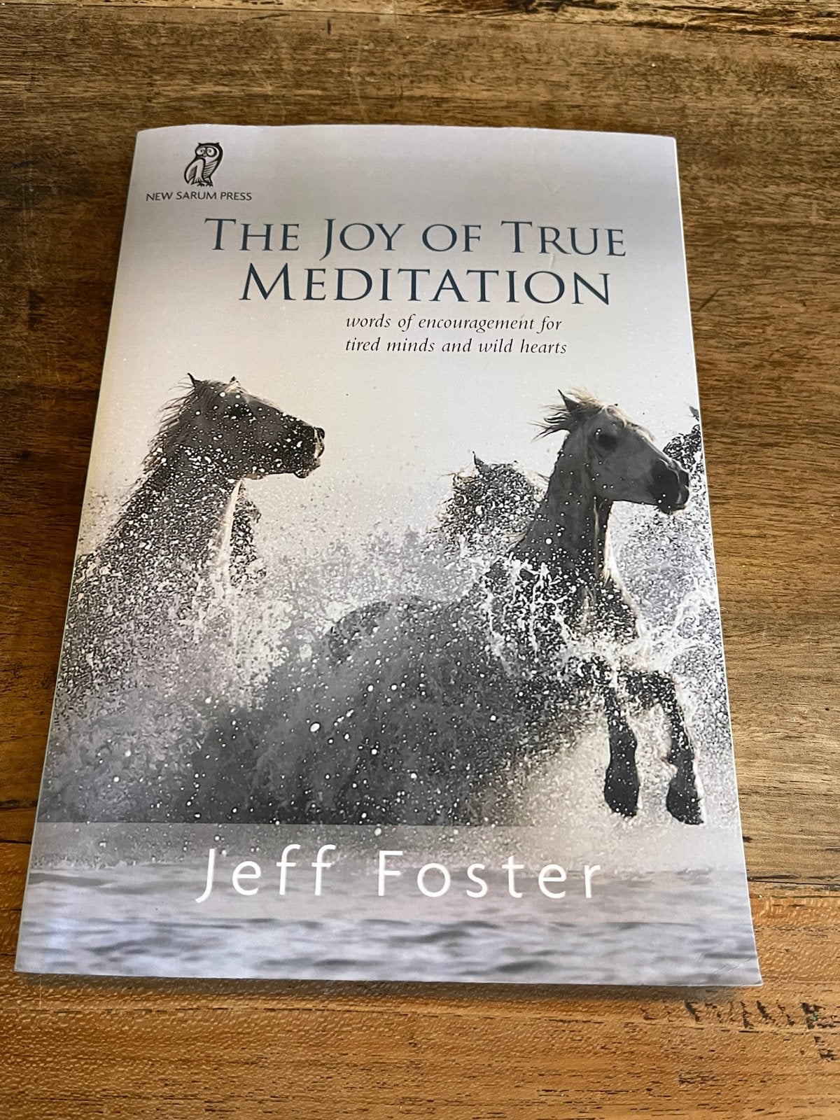 The Joy of True Meditation - Jeff Foster (Engels), Boeken, Ophalen of Verzenden, Zo goed als nieuw, Meditatie of Yoga, Instructieboek