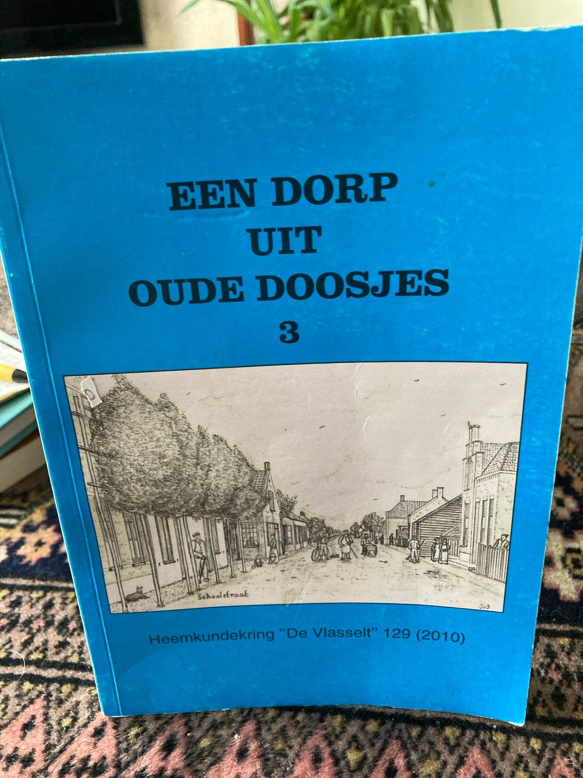 Een Dorp Uit Oude Doosjes 3 - Heemkundekring De Vlasselt, Ophalen of Verzenden, 20e eeuw of later, Zo goed als nieuw