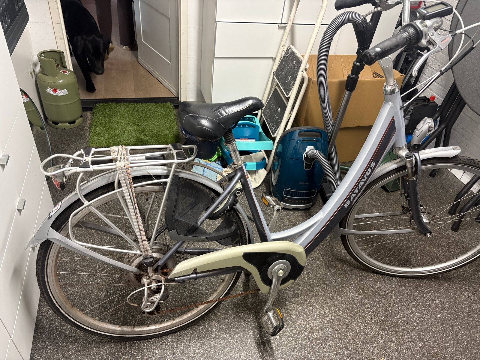 Batavus Padova Easy elektrische fiets - Acculader ontbreekt, Ophalen, Velgrem, Batavus, 53 tot 56 cm