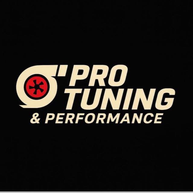 PRO Tuning & Performance Chiptuning Uitlaat(klep) Aanpassing, Ophalen