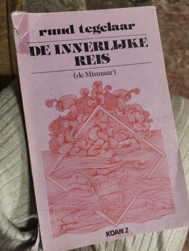 Ruud Tegelaar - De Innerlijke Reis (De Minnaar) - Koan 2, Ophalen of Verzenden, Gelezen, Ruud Tegelaar