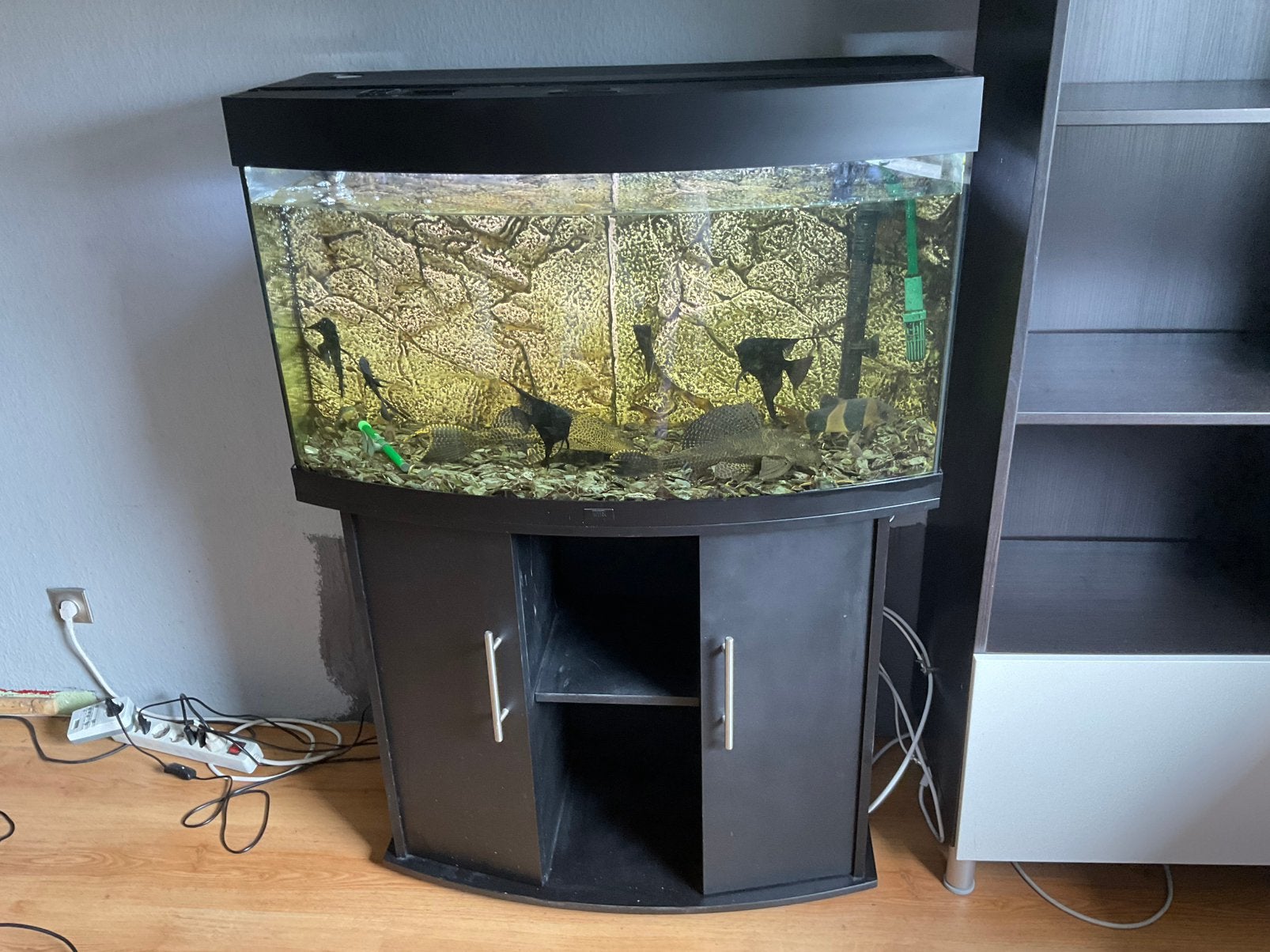 Juwel Aquarium met vissen, kast en toebehoren, Ophalen, Gebruikt, Gevuld zoetwateraquarium, Juwel