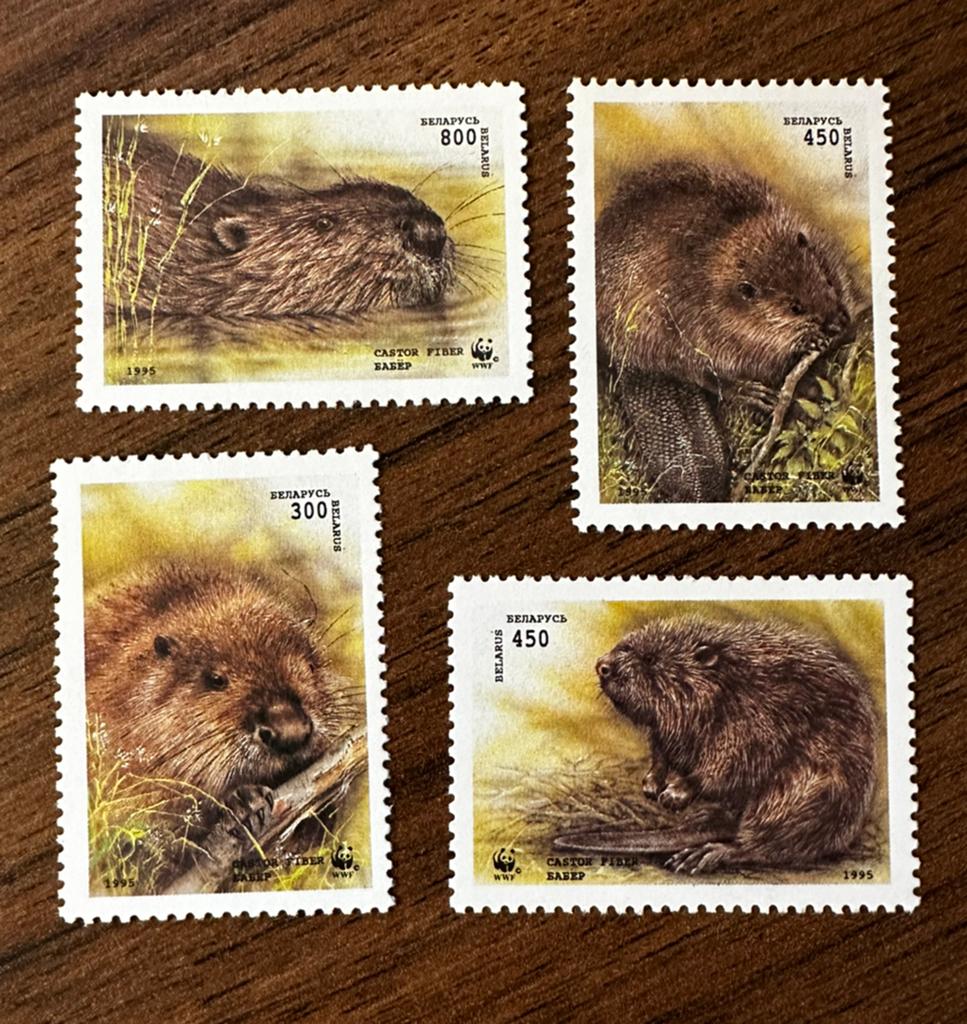 1995 WWF Bever Postfris dieren - Wit-Rusland, Postzegels en Munten, Ophalen of Verzenden, Overige landen, Postfris
