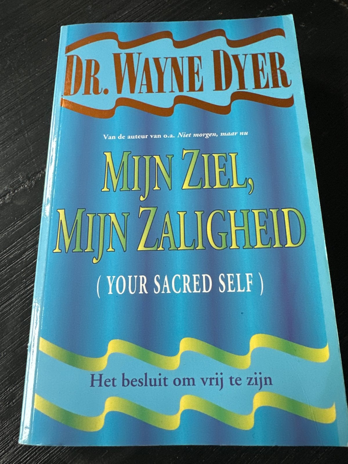 Mijn Ziel, Mijn Zaligheid - Dr. Wayne Dyer, Ophalen of Verzenden, Gelezen, Spiritualiteit algemeen, Achtergrond en Informatie