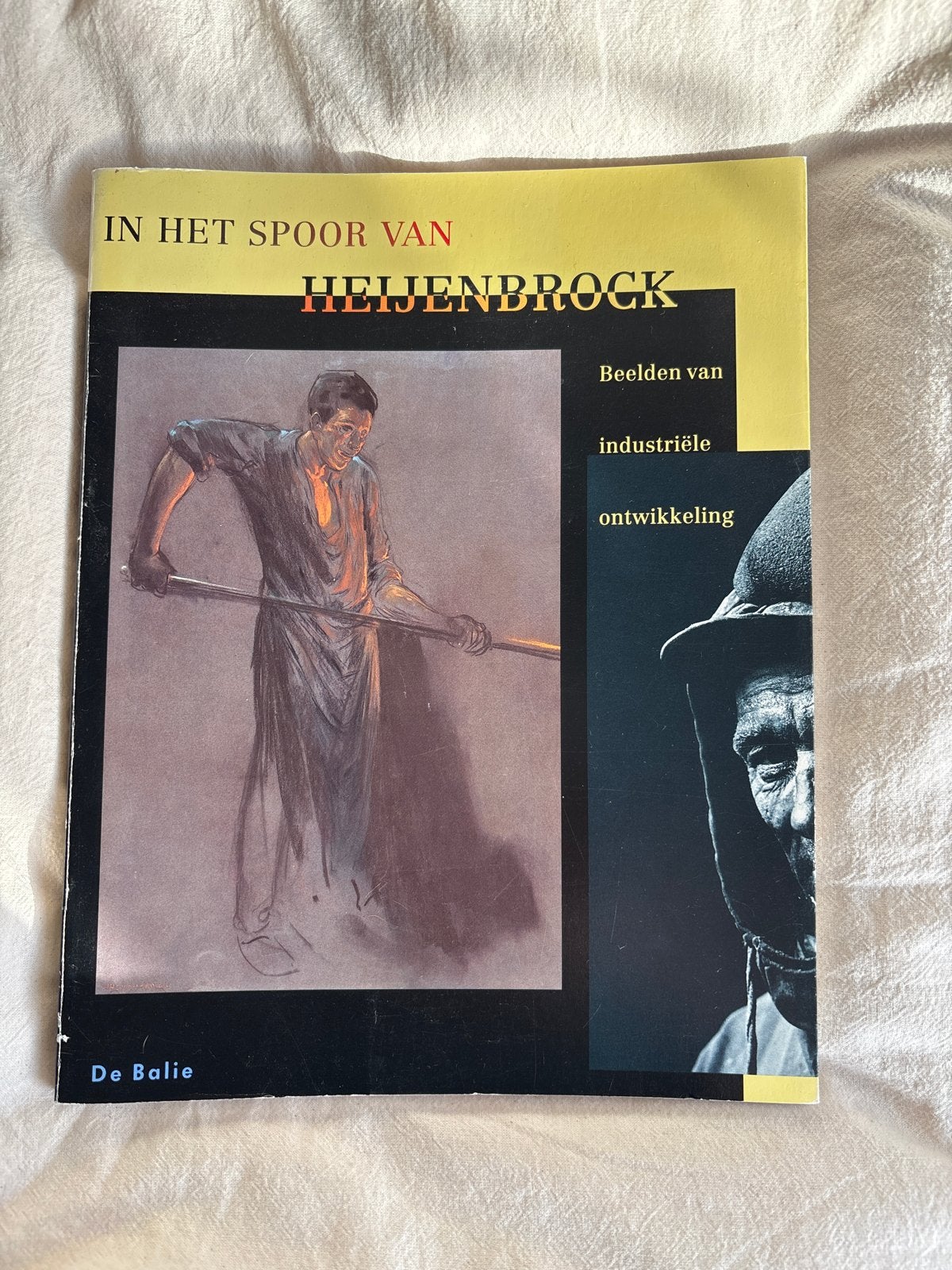 In het spoor van Heijenbrock: Beelden van industriële ontwik, Verzenden, Gelezen, Nederland