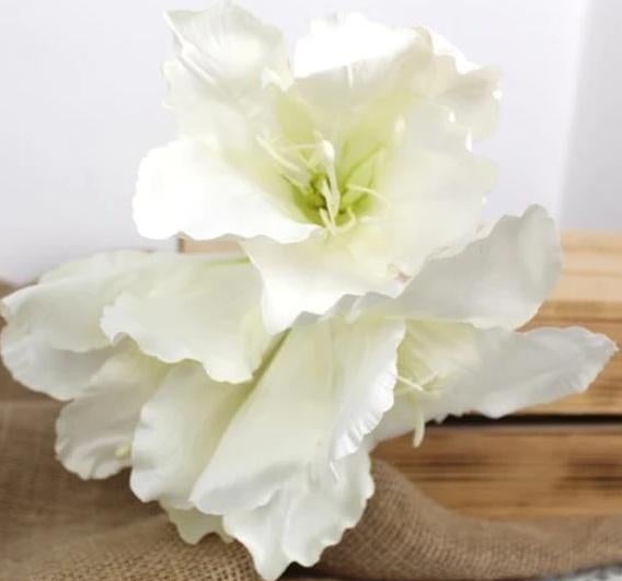 AMARYLLIS - KUNST TAK - 3 KLEUREN, Ophalen of Verzenden, Nieuw