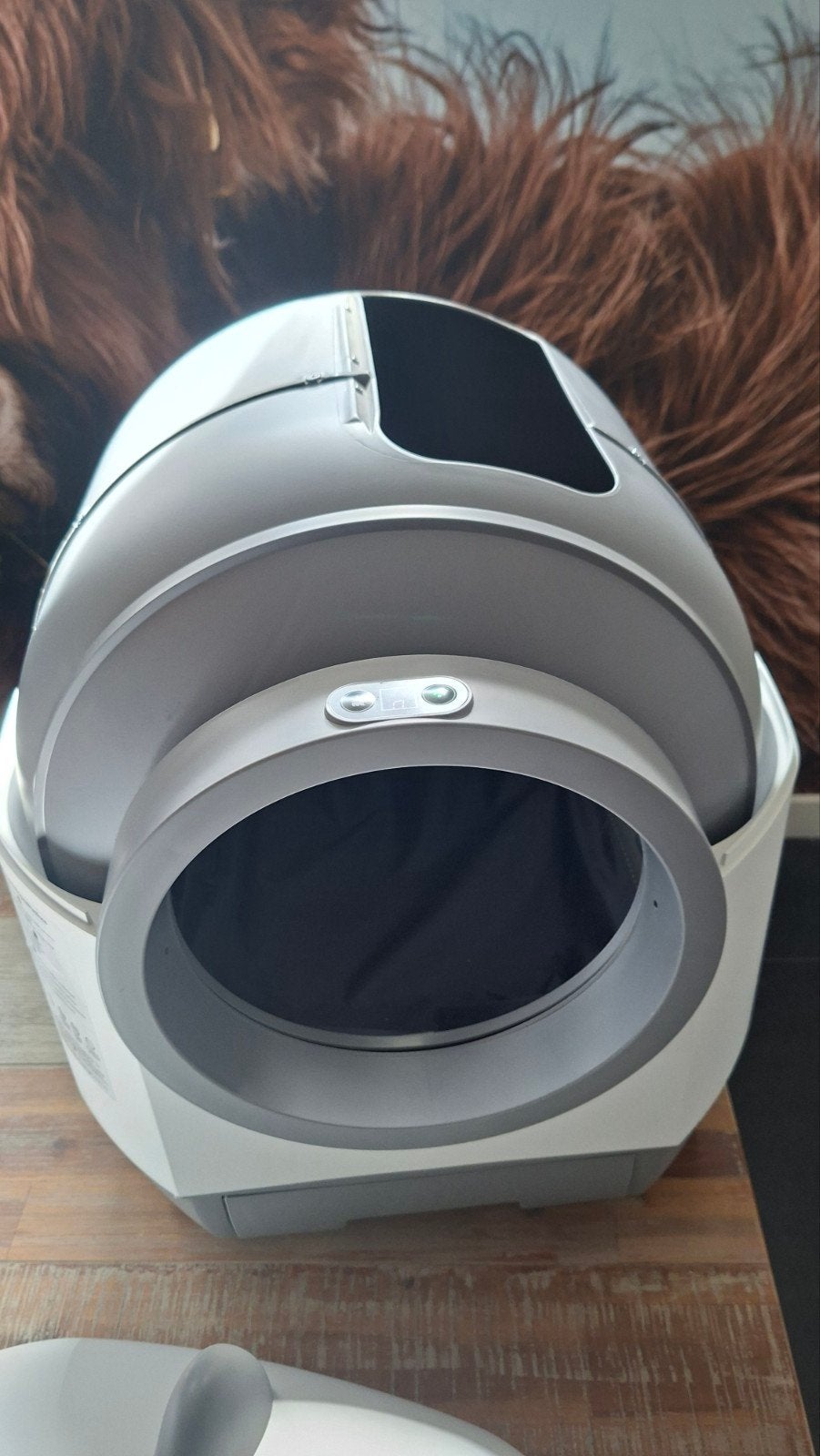 automatische kattenbak XXL, Dieren en Toebehoren, Kater