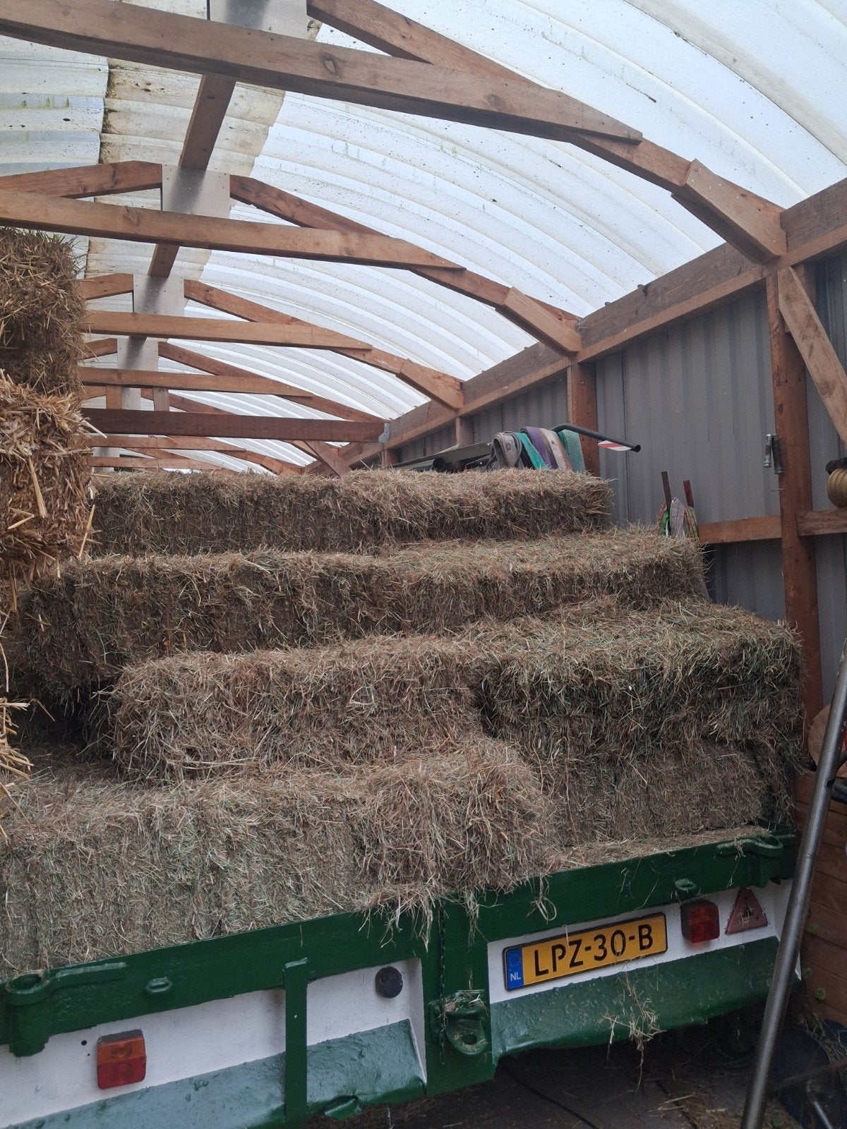 hooi pakjes hooipakjes, Dieren en Toebehoren, Dierenvoeding, Ophalen, Vee