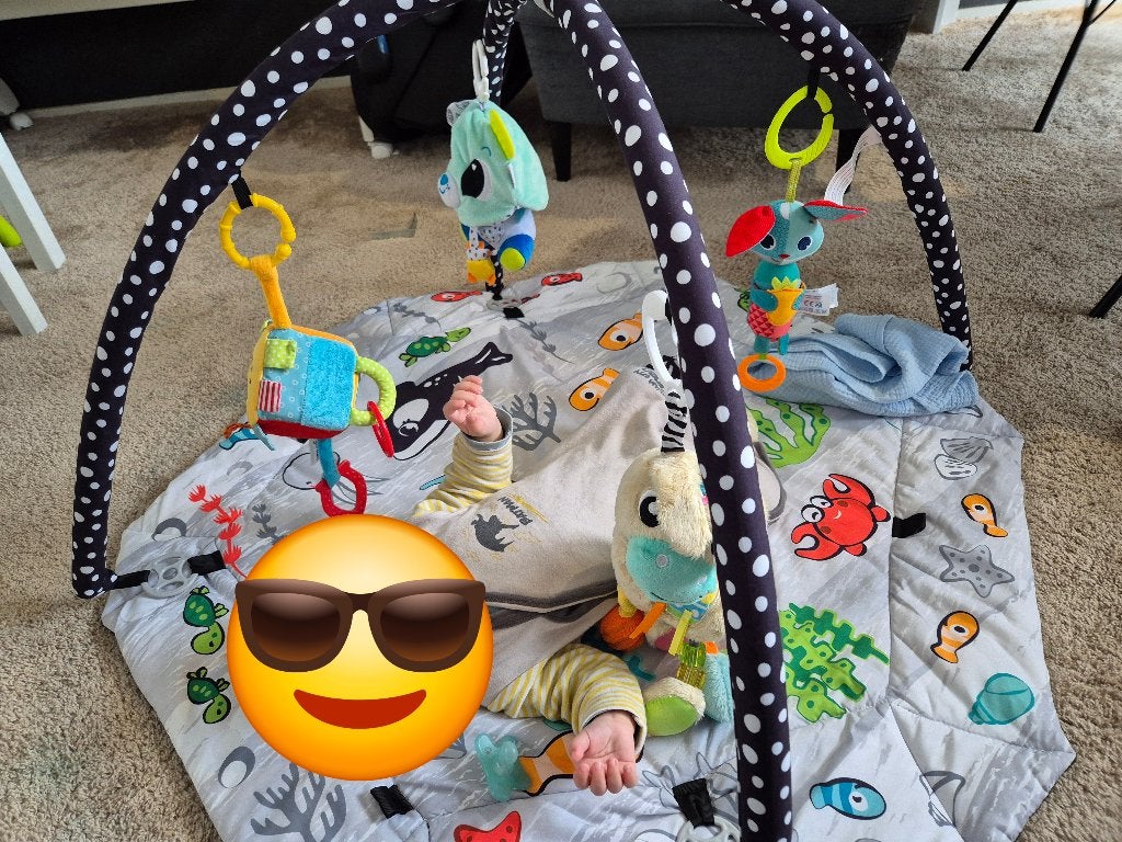 Baby spelmaat, Ophalen, Gebruikt, Babygym