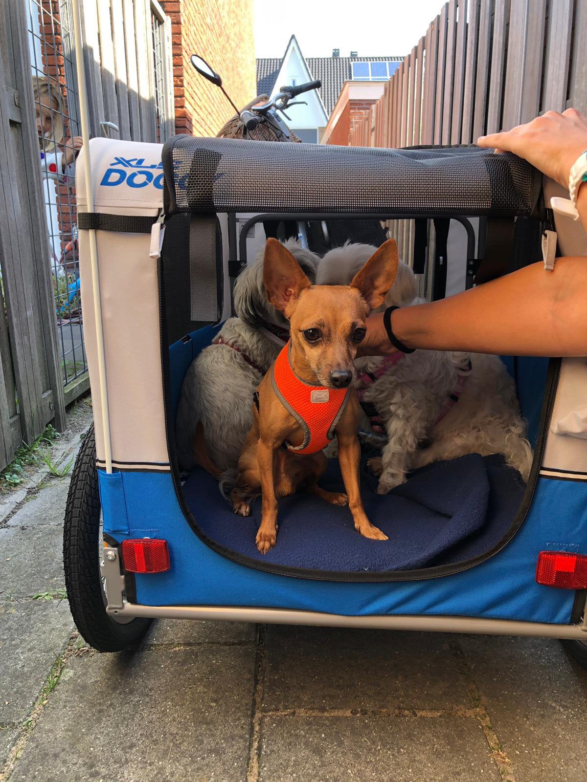 XLC Hondenfietskar Doggy Zilver/Blauw, Ophalen, Zo goed als nieuw, Hondenkar, 20 tot 40 kg