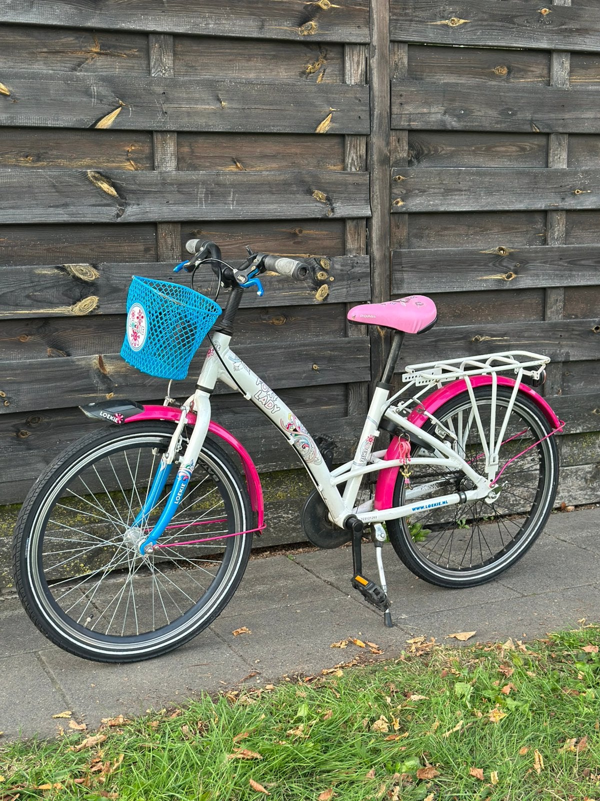 Meisjes fiets loekie, Ophalen, Gebruikt, 22 inch