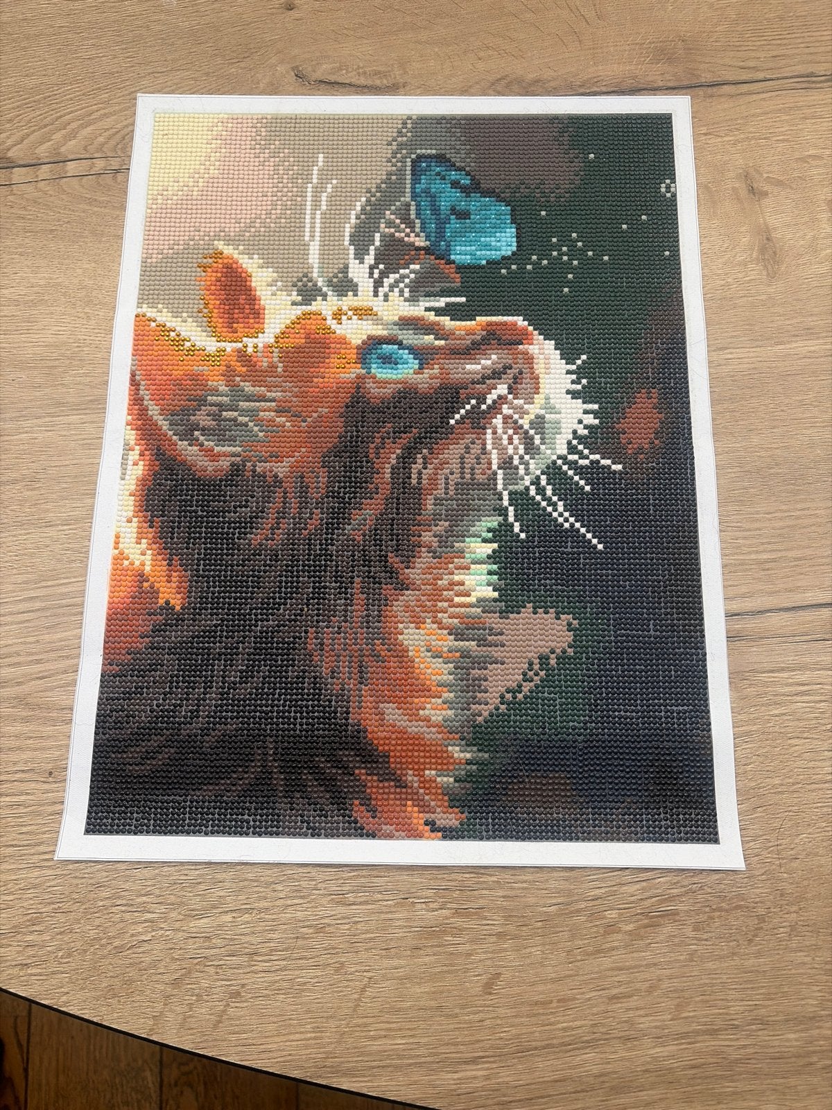 Diamond Painting Kat met vlinder, Ophalen of Verzenden, Zo goed als nieuw, Overige typen