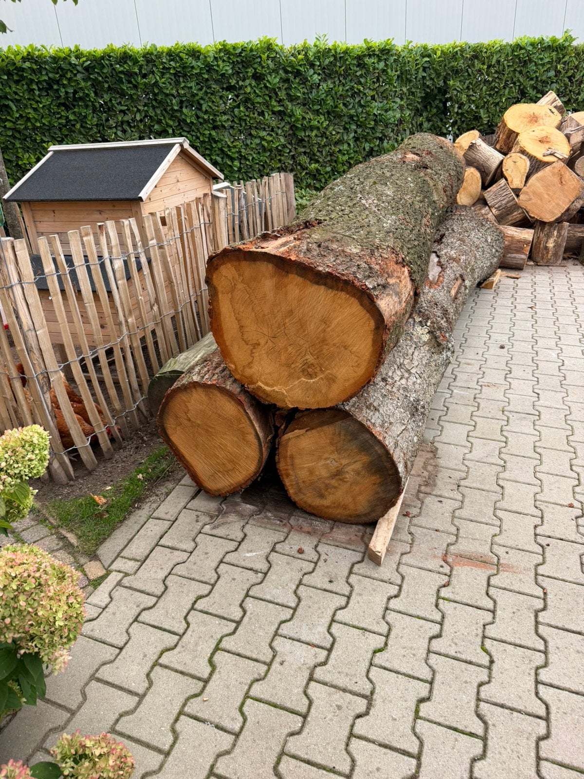 3 mooie eiken zaagstammen, Tuin en Terras, 3 tot 6 m³, Ophalen, Eikenhout, Stammen