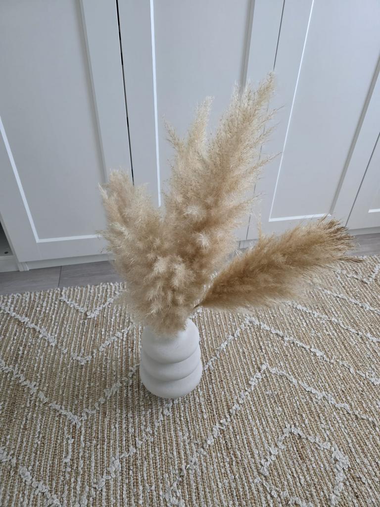 Decoratieve vaas met pampas, Ophalen of Verzenden, Zo goed als nieuw