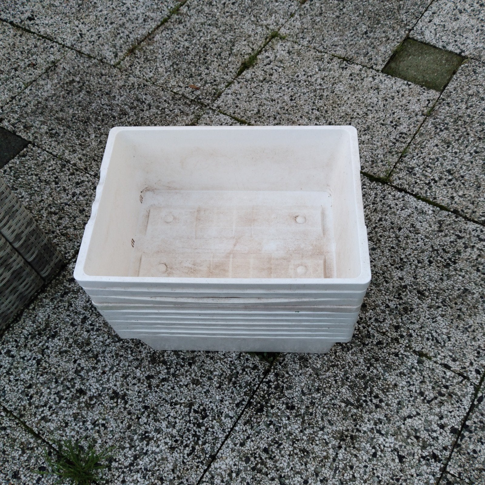 10 kweek bakken, Ophalen of Verzenden, Minder dan 40 cm, Minder dan 35 cm