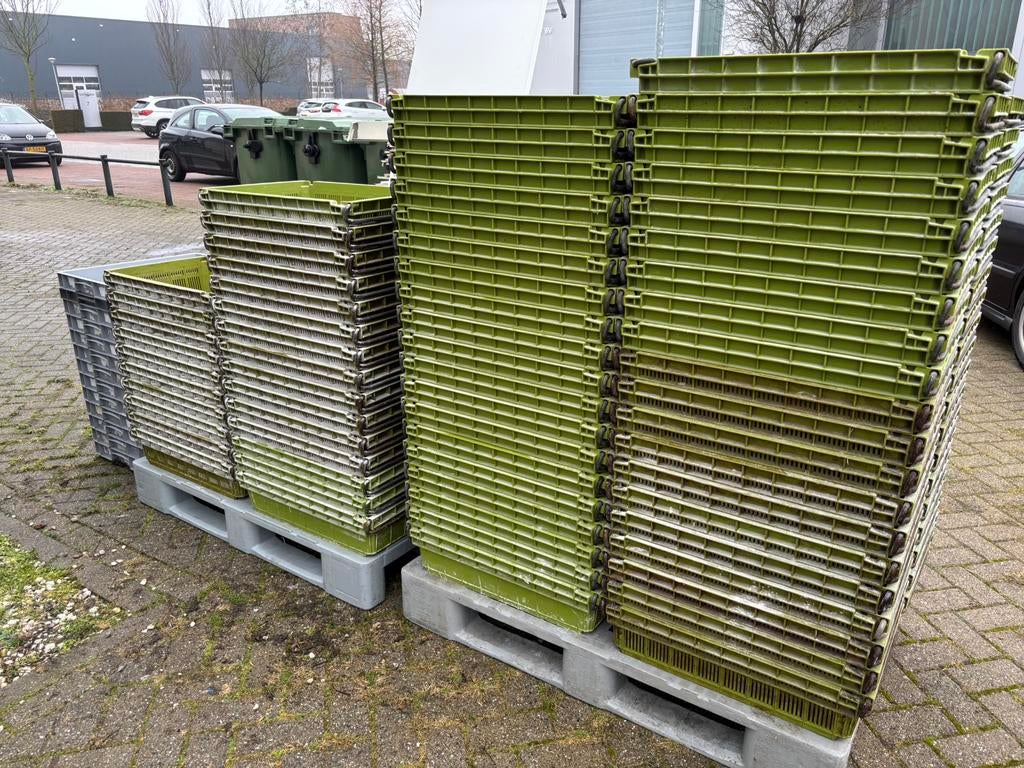 Groene plastic kratten, Ophalen, Gebruikt, 40 tot 60 cm, 50 tot 75 cm