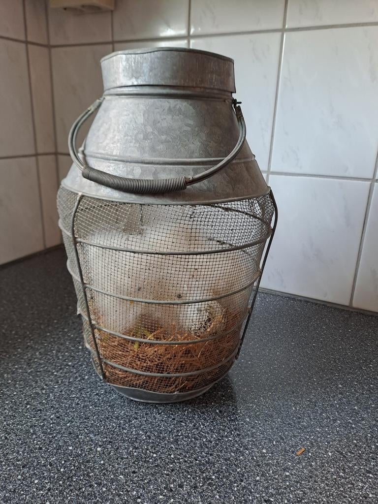 Leuke paasdeco melkbus stro kuikens, Diversen, Pasen, Ophalen of Verzenden, Zo goed als nieuw, N.v.t, N.v.t