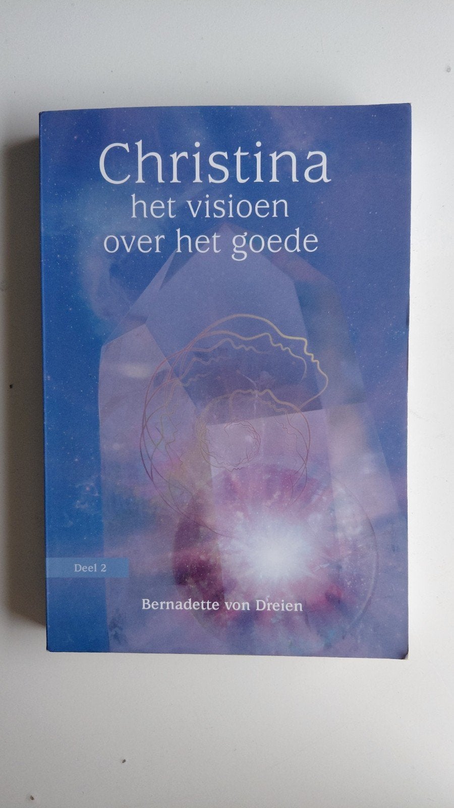 Bernadette von Dreien - Het visioen over het goede, Achtergrond en Informatie, Spiritualiteit algemeen, Ophalen of Verzenden, Zo goed als nieuw