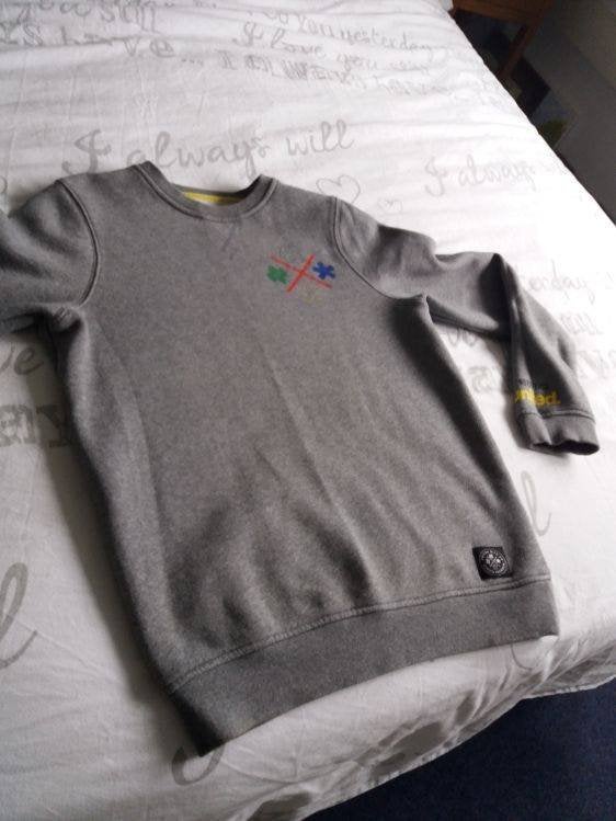 ETNIES sweater S-46 incl. verzenden, Ophalen of Verzenden, Zo goed als nieuw, Grijs, Etnies