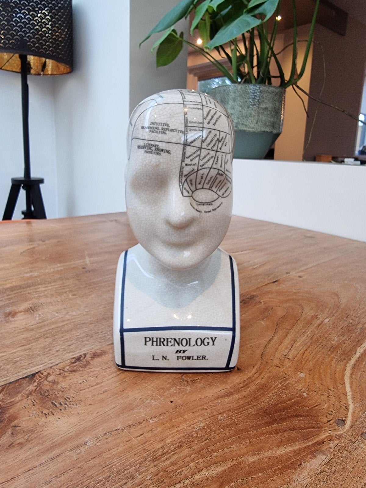 Vintage Frenologie Hoofd - L.N. Fowler, Antiek en Kunst, Ophalen