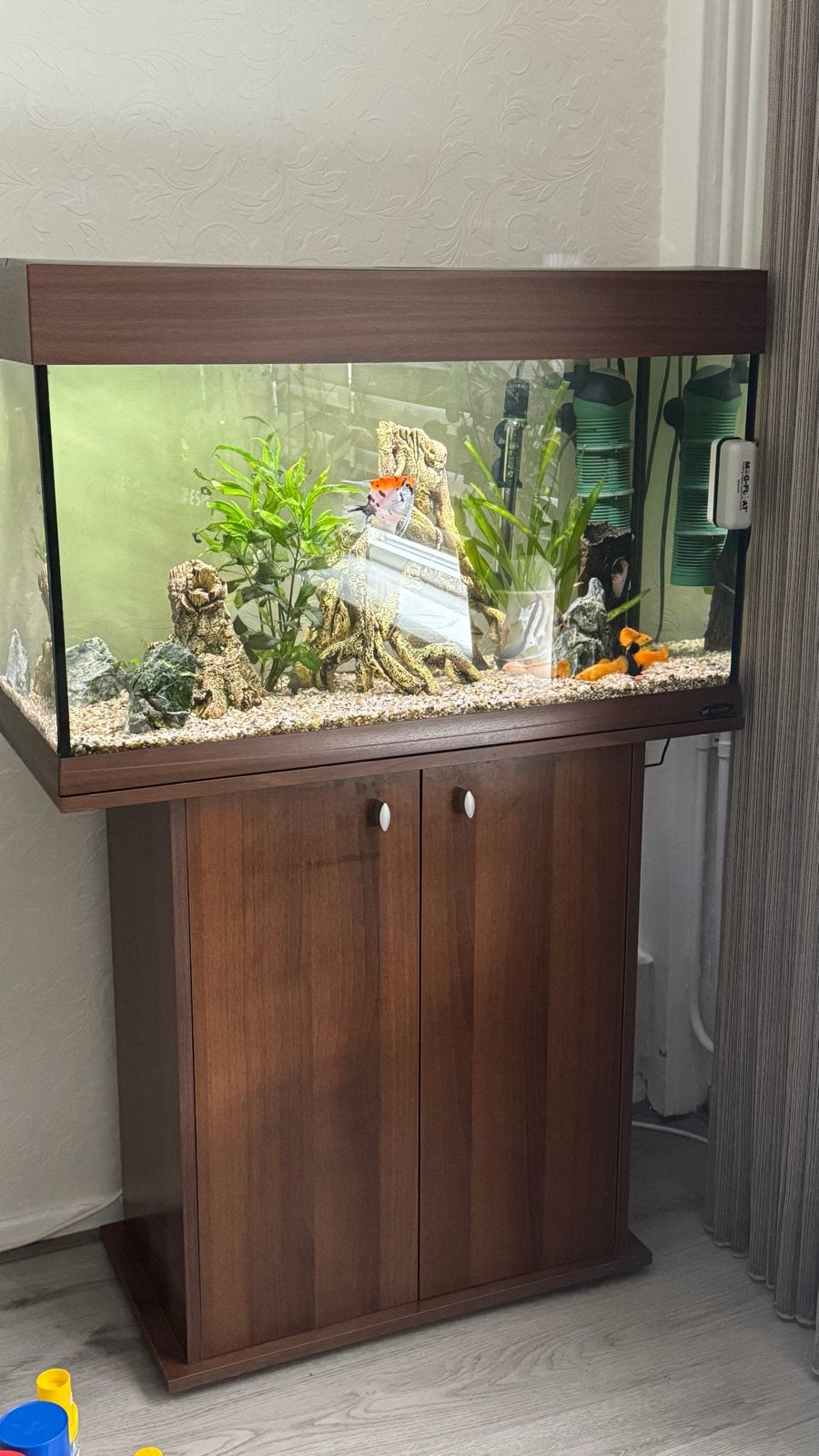 Aquarium met kast, Ophalen, Gevuld zoetwateraquarium