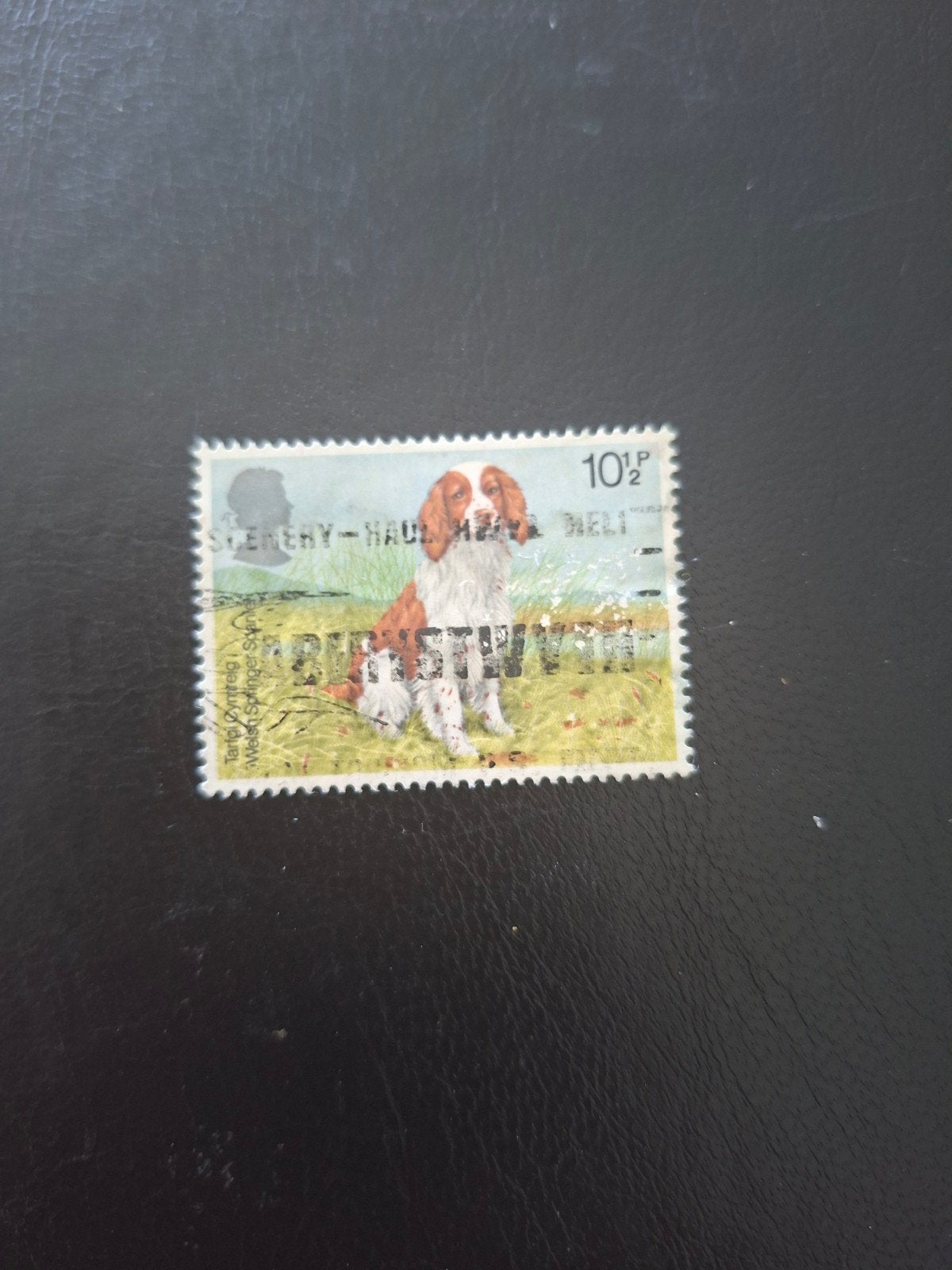Engeland. Hond., Ophalen of Verzenden