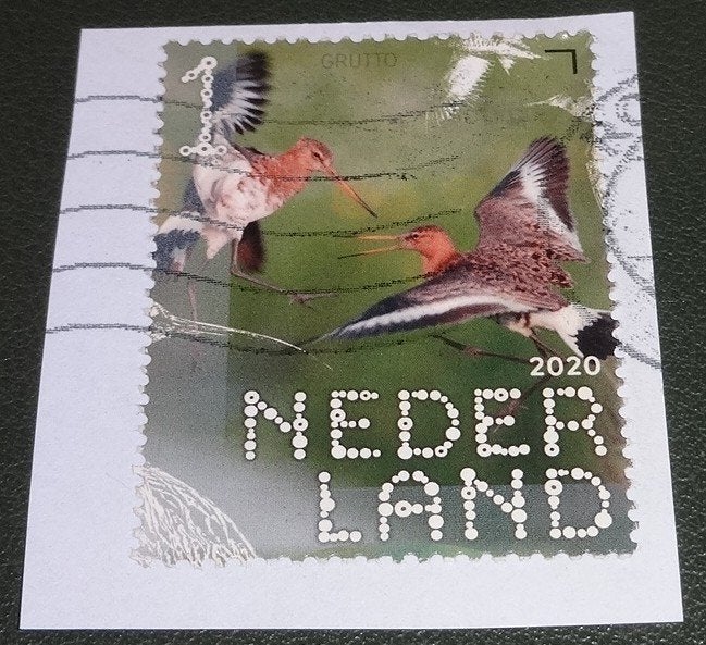 Beleef de Natuur - NVPH 3826 - 2020 - Grutto - PNe01-13, Verzenden, Na 1940, Gestempeld
