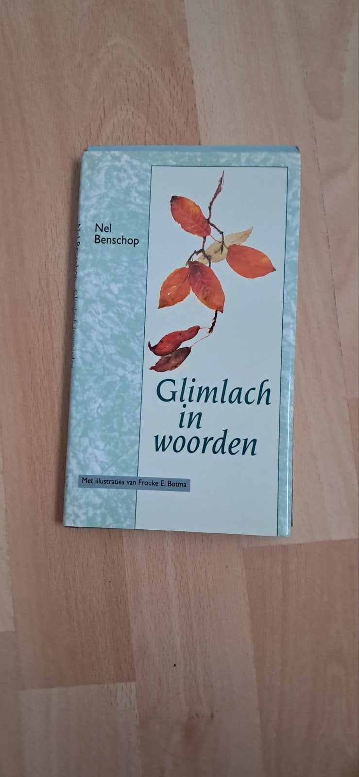 Glimlach in woorden - Nel Benschop (poëziebundel), Boeken, Gedichten en Poëzie, Ophalen of Verzenden, Zo goed als nieuw, Nel Benschop