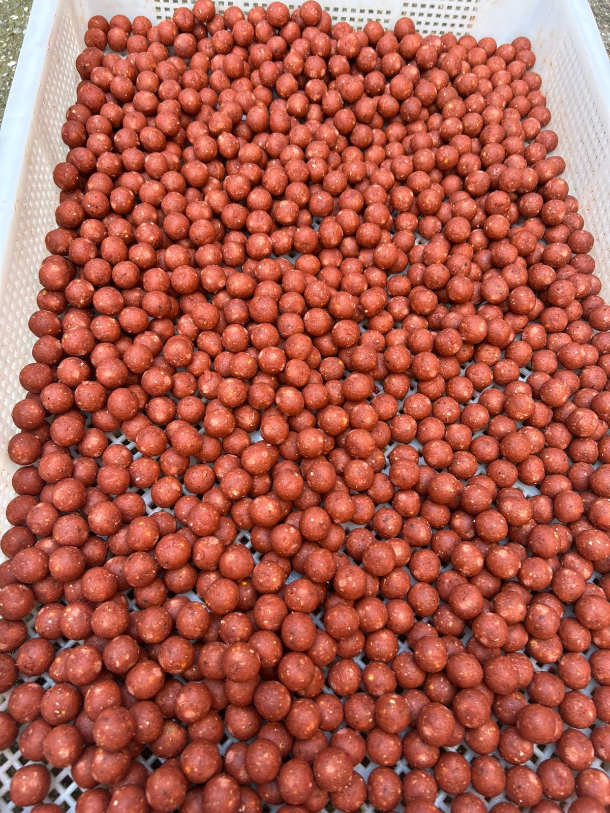 Betaalbare goede kwaliteit boilies, Ophalen of Verzenden, Nieuw, Overige typen