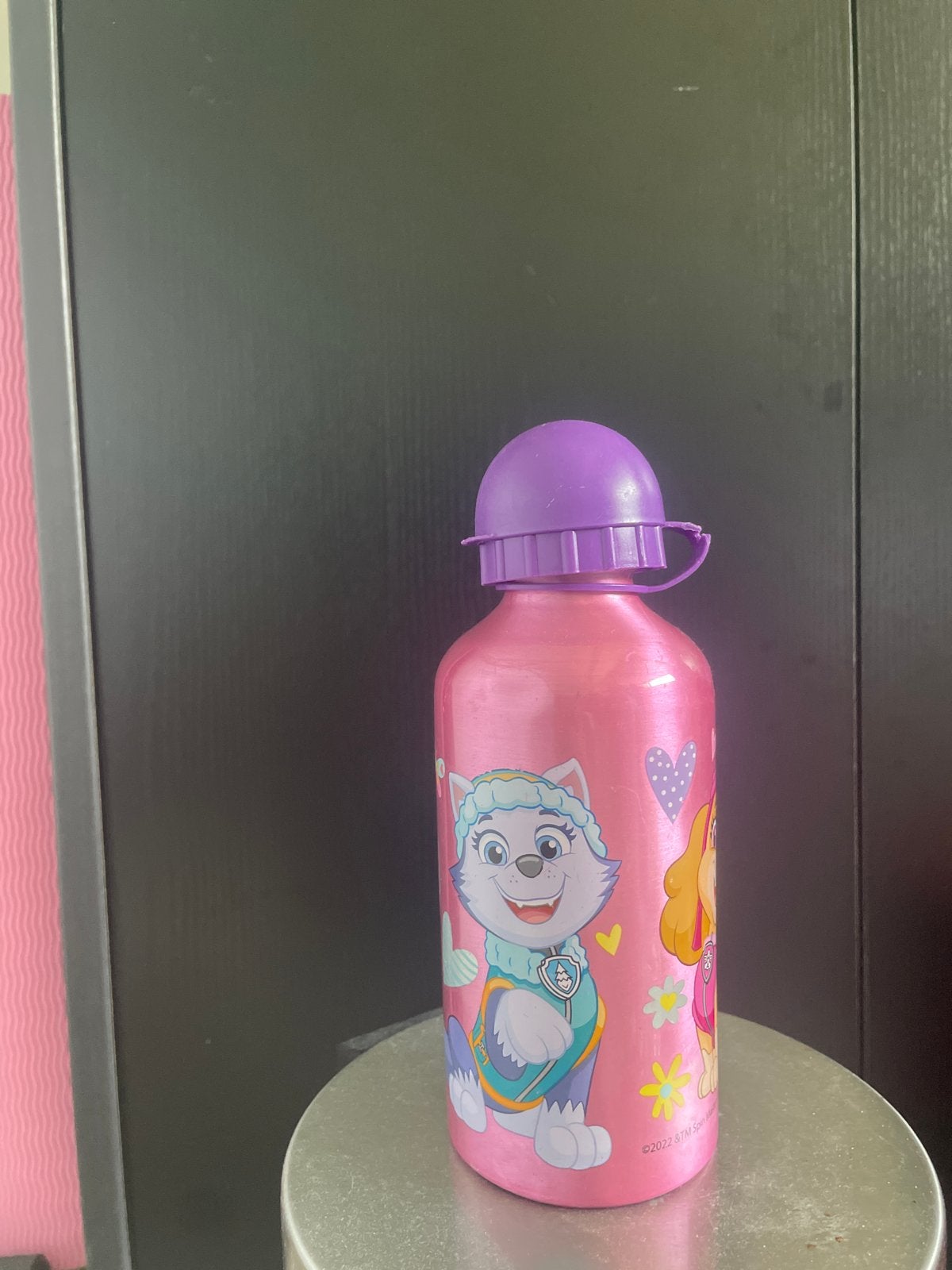 Paw Patrol drinkfles Skye en Everest, Ophalen, Gebruikt