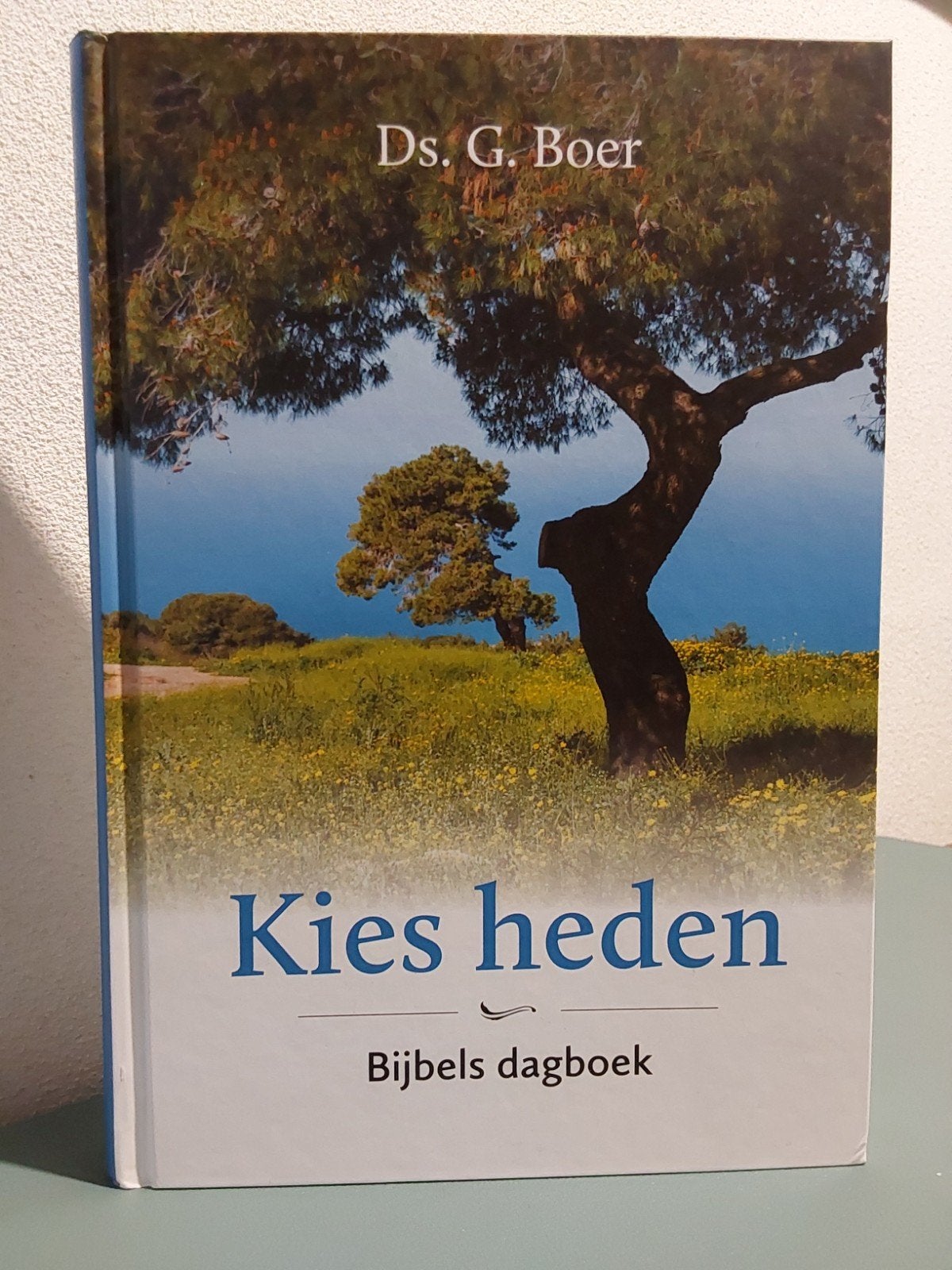 Ds. G. Boer : Dagboek, Ds. G. Boer, Nieuw, Christendom | Protestants, Ophalen of Verzenden
