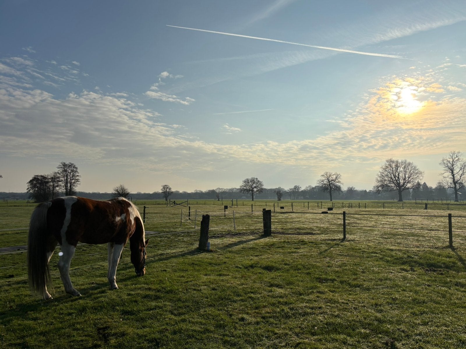 Bijbaantje aangeboden in de paarden (Soest), Overige niveaus, Starter, Overige vormen