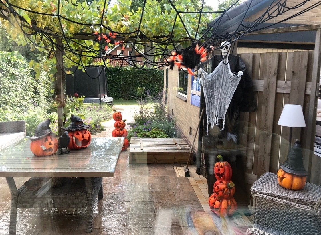 Groot Halloween Decoratiepakket: Pompoenen, Spinnen, Skelett, Ophalen, Gebruikt, Versiering, Halloween of Griezel