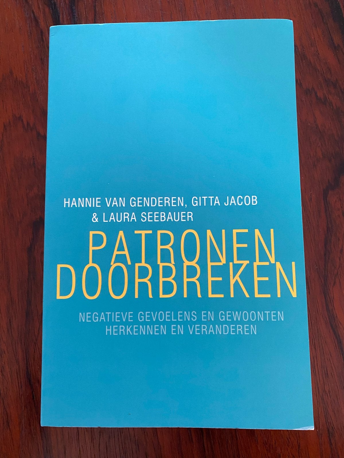 Patronen Doorbreken: Negatieve Gevoelens en Gewoonten, Boeken, Ophalen of Verzenden, Zo goed als nieuw