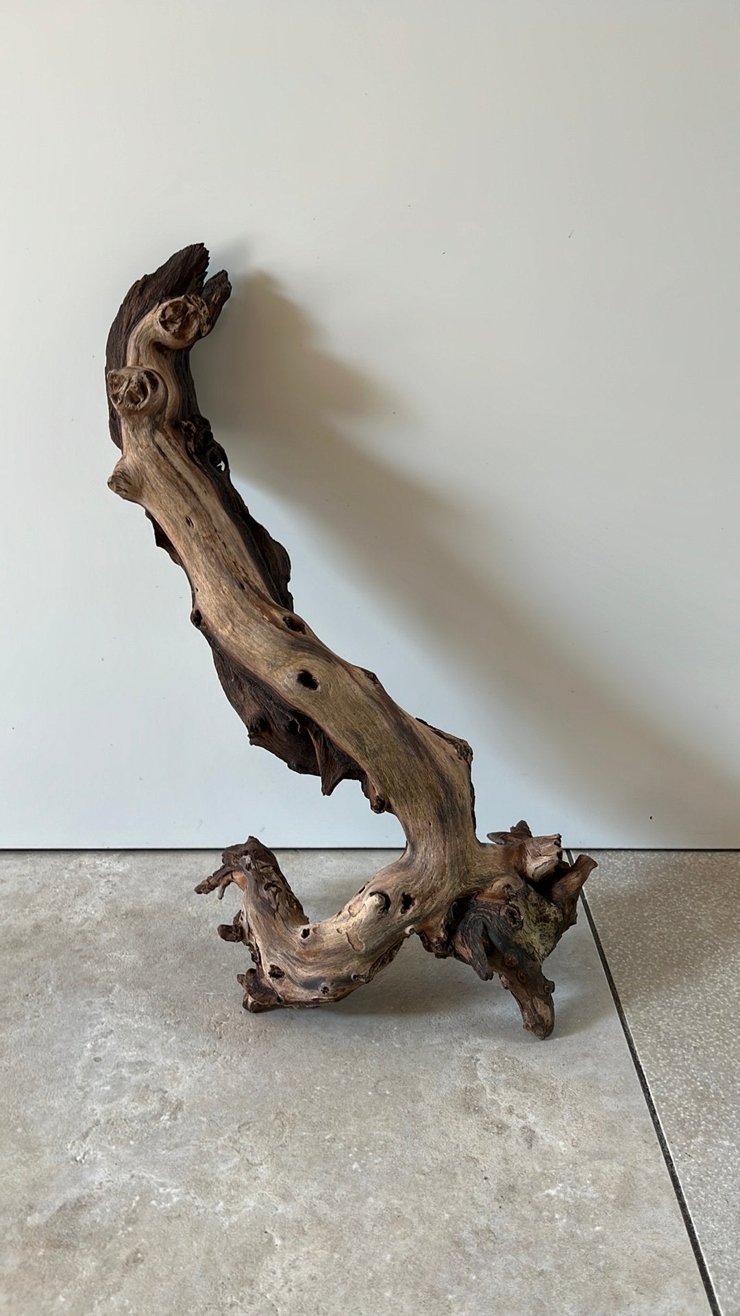 Mopani aquarium hout, Ophalen, Gebruikt, Plant(en), Steen of Hout