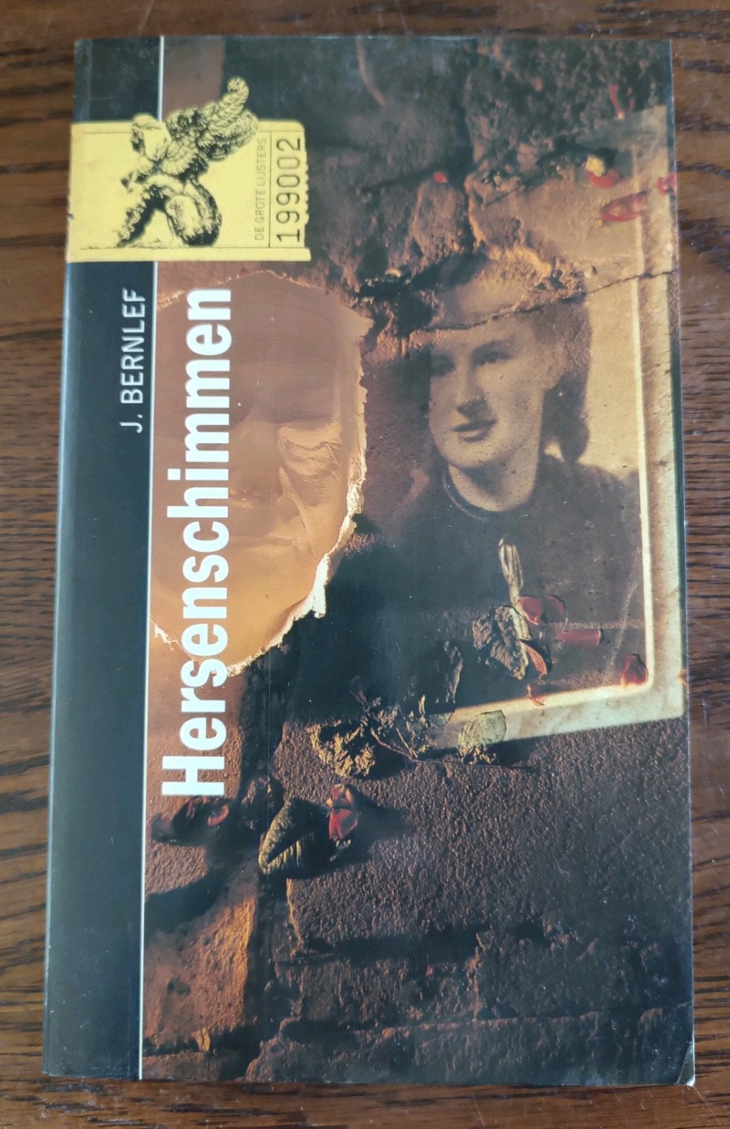 HersenSchimmen - J. Bernlef (Grote Lijsters 1990), Boeken, Ophalen of Verzenden, Zo goed als nieuw, Nederland, J. Bernlef