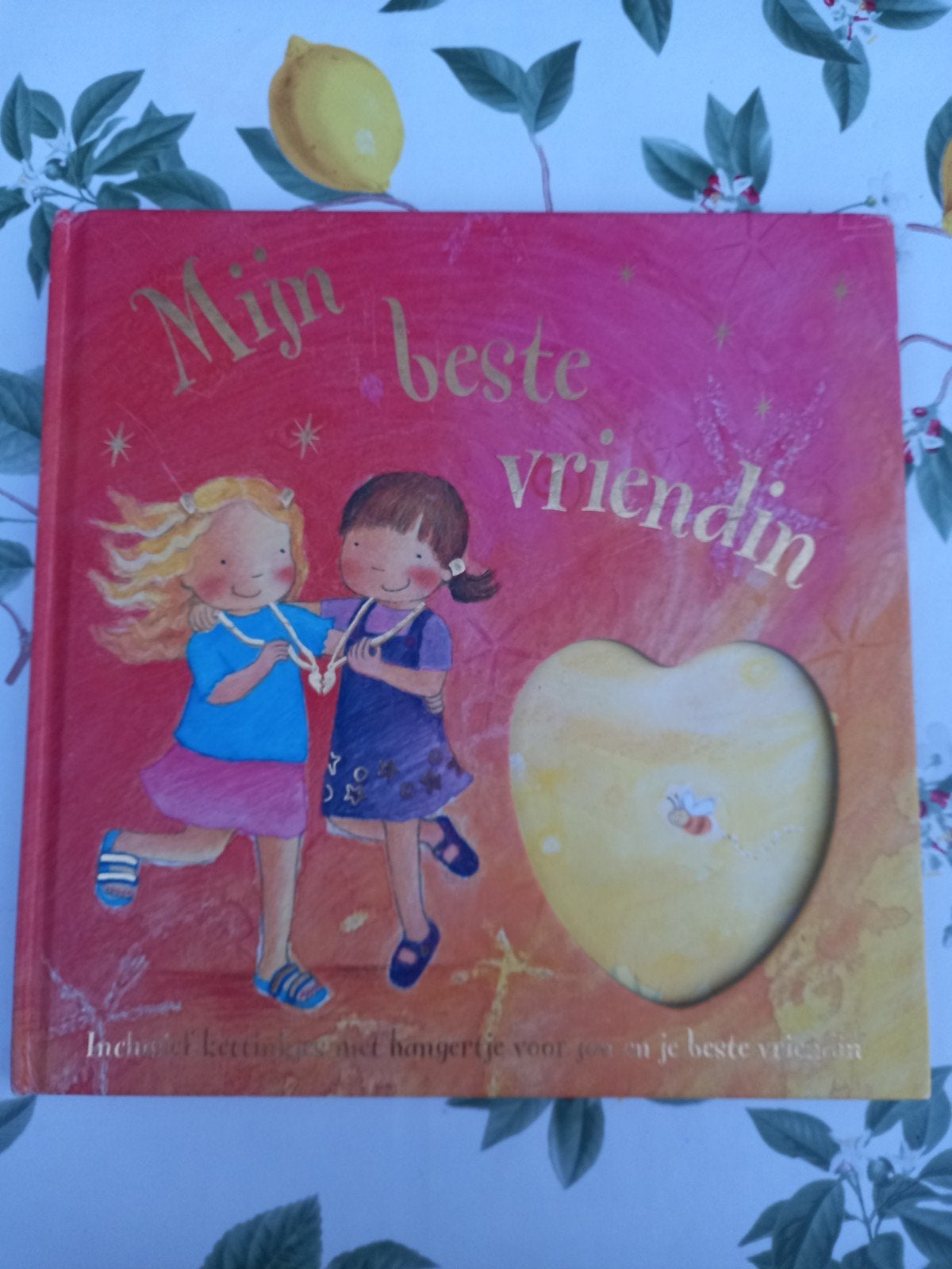 M8 Mijn beste vriendin boek met ketting en hangertje, Ophalen of Verzenden, Gelezen, Onbekend, Fictie algemeen