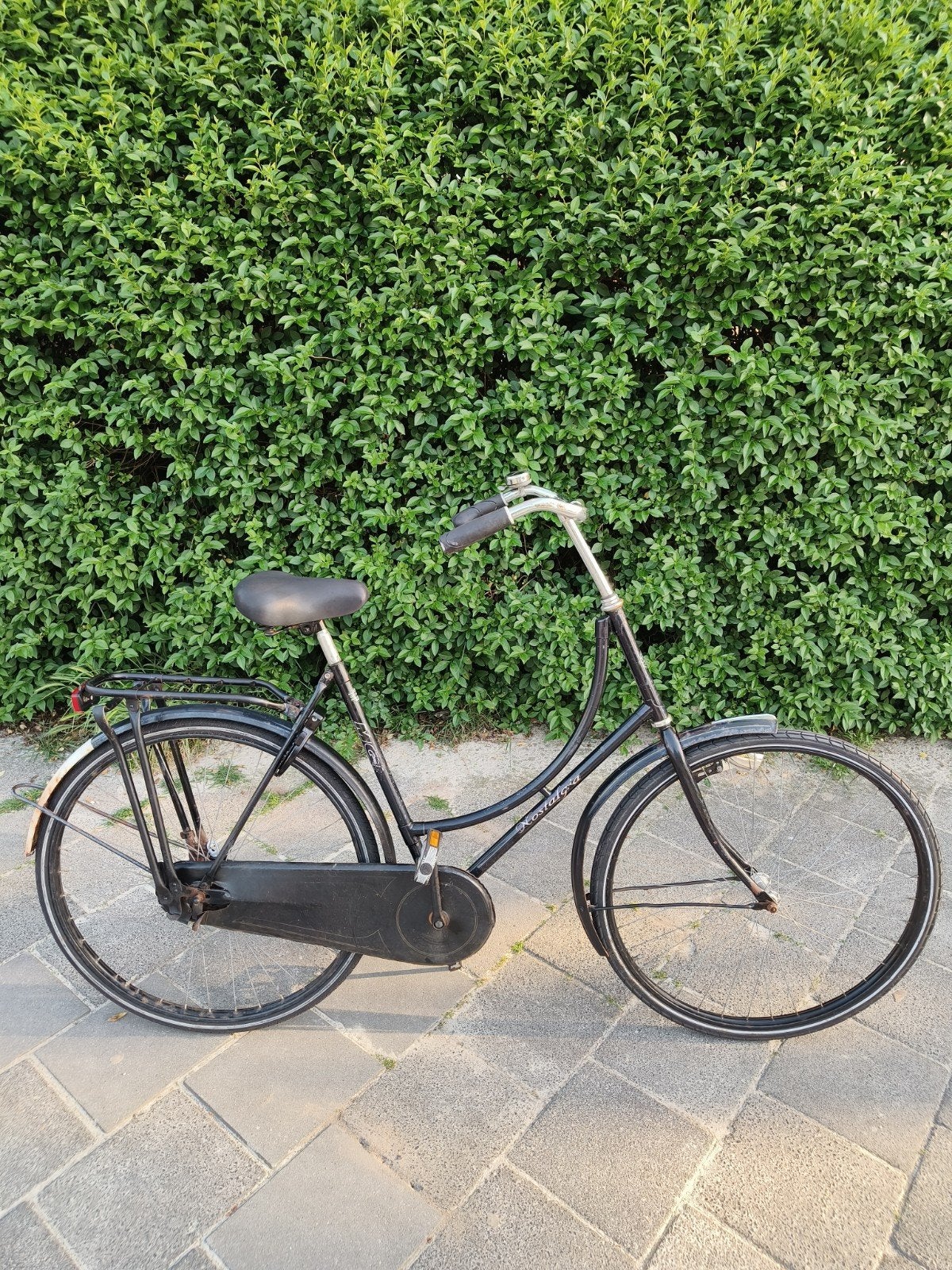 Omafiets met terugtraprem, verlichting en fietsbel, Terugtraprem, 56 cm of meer, Ophalen, Overige merken