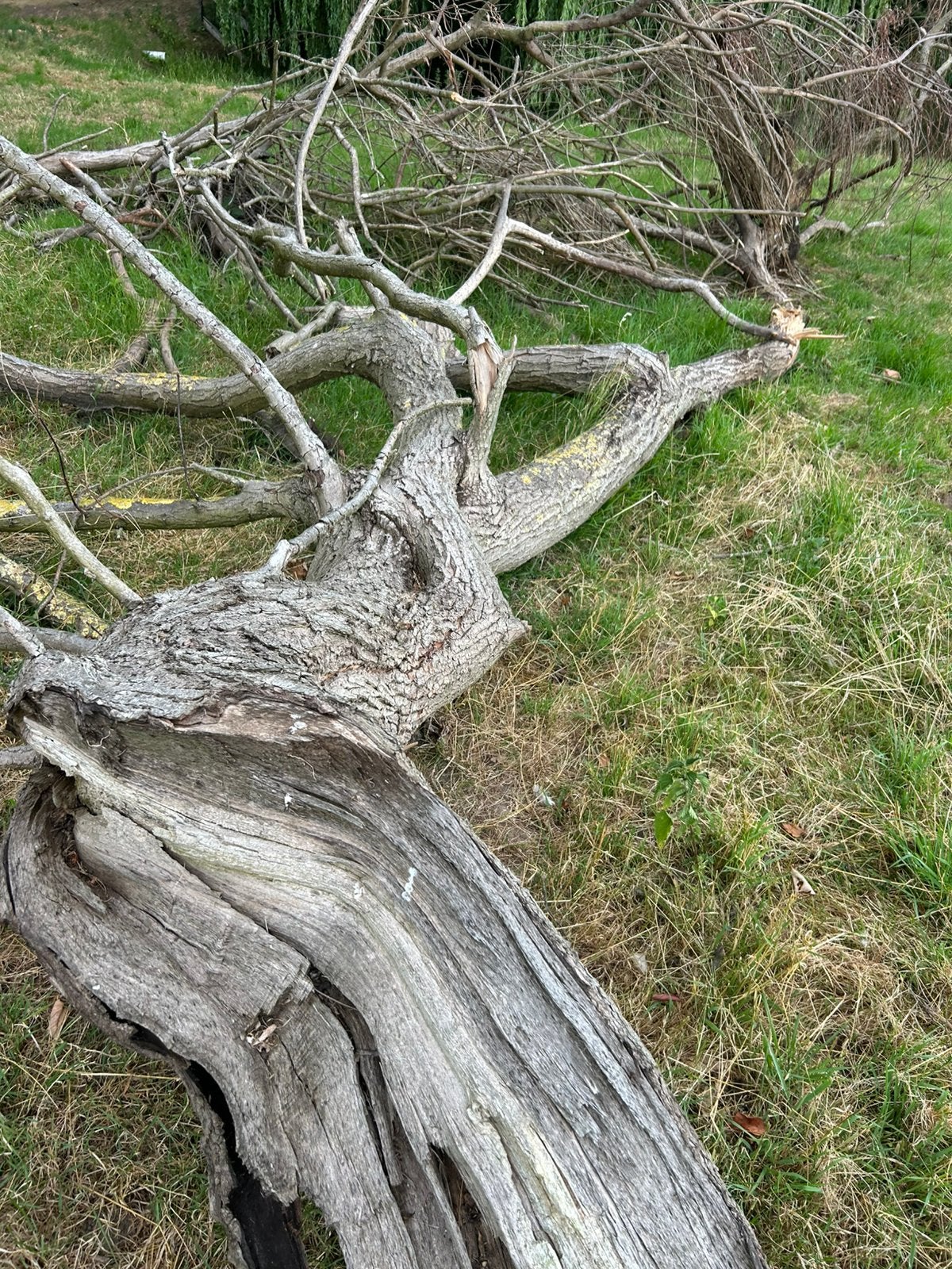 Gratis haardhout, Minder dan 3 m³, Ophalen