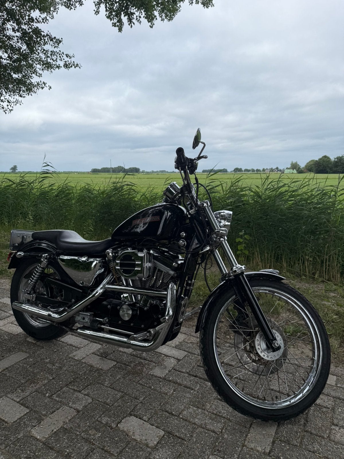 Harley Davidson XL 883 C ‘99 | Screamin Eagle | Hypercharger, 2 cilinders, Sportuitlaat, Gebruikt, 883 cc