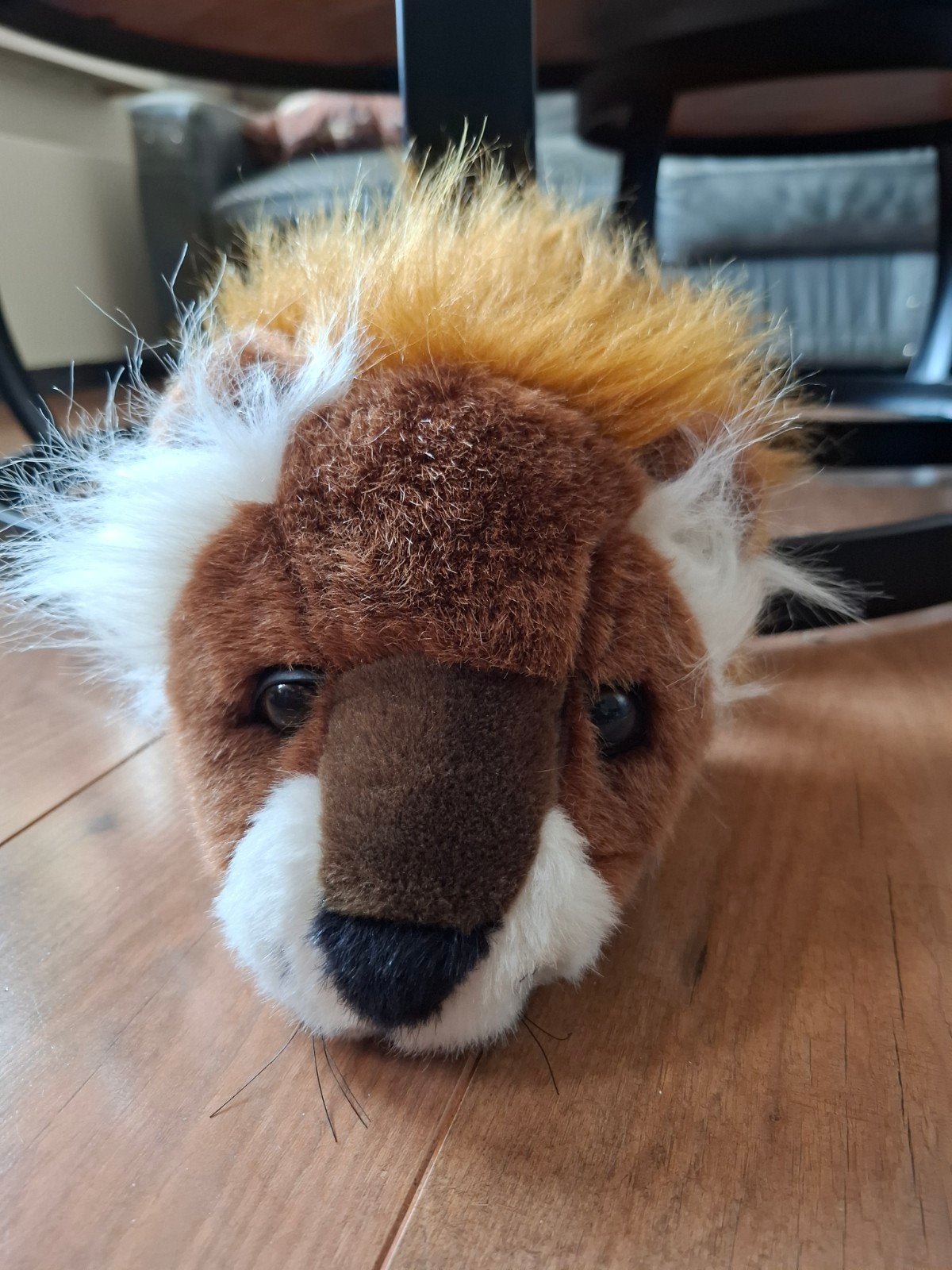 Unieke set van 3 pluche dierenkoppen voor aan de muur (Russ, Ophalen, Knuffels