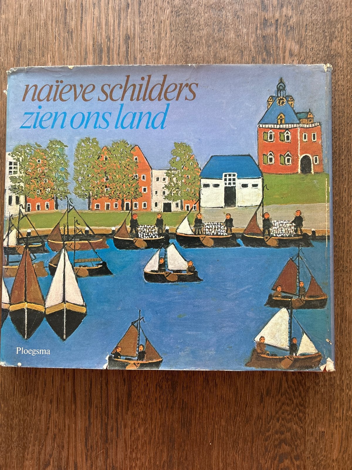 Naïeve Schilders Zien Ons Land - Kunstboek, Ophalen of Verzenden, Gelezen, Overige onderwerpen