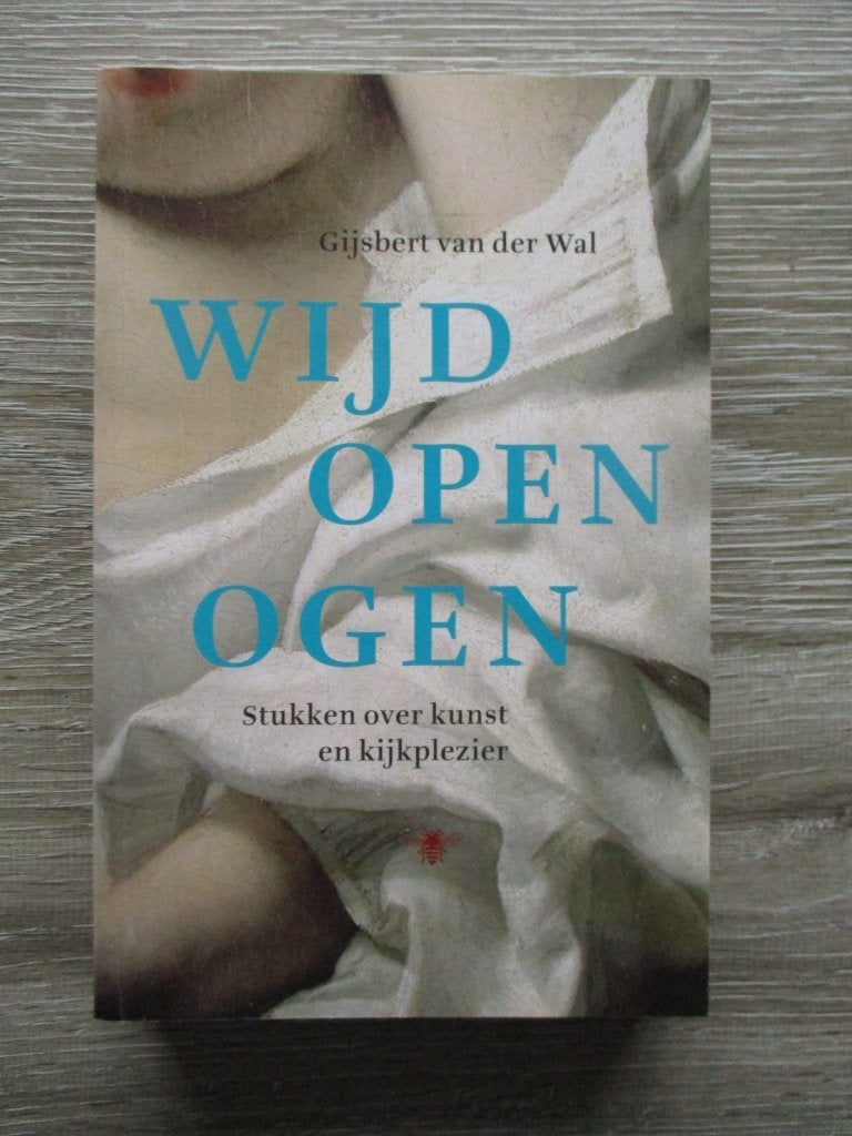 Wijd open ogen. Stukken over kunst en kijkplezier - Gijsbe, Ophalen of Verzenden, Gelezen