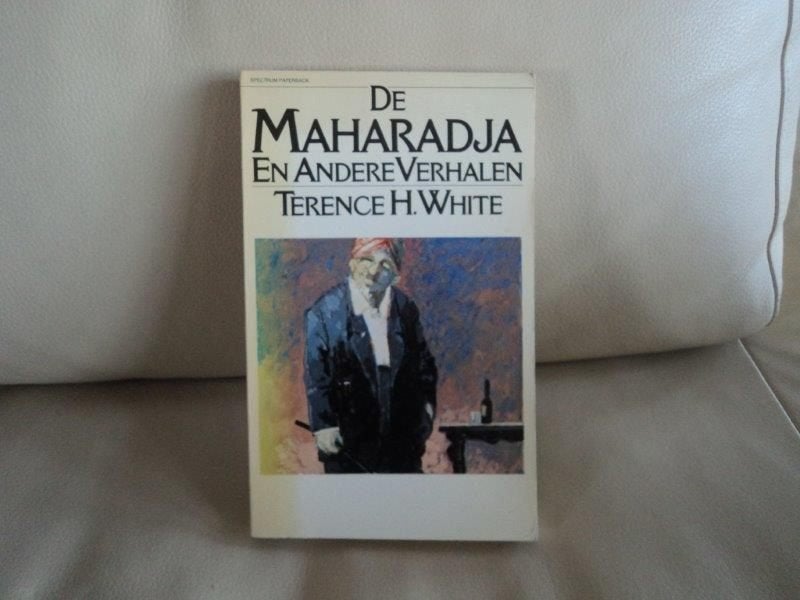 De Maharadja en andere verhalen, Ophalen of Verzenden, Zo goed als nieuw, Europa overig