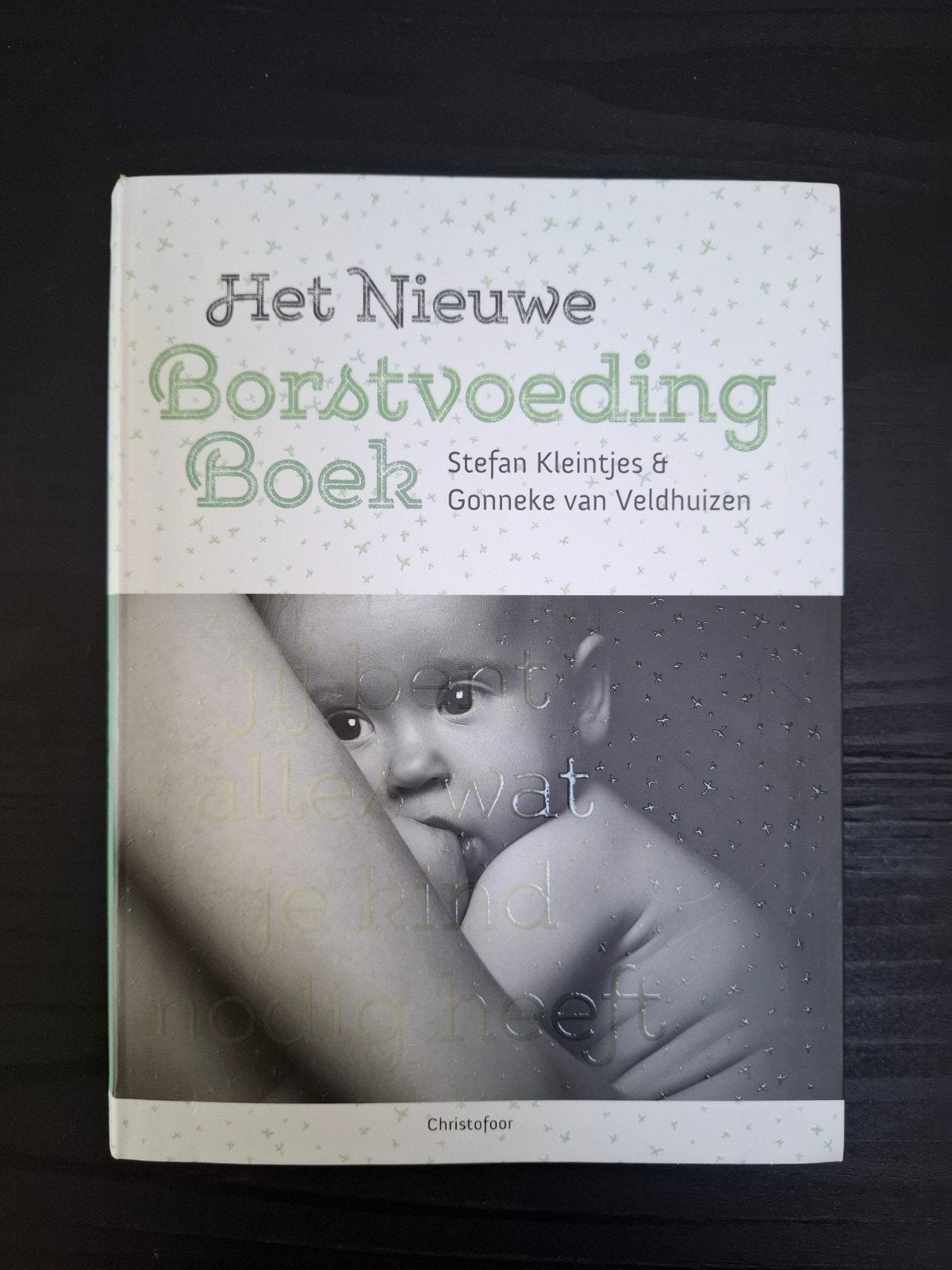 Het Nieuwe Borstvoeding Boek - Kleintjes & Van Veldhuizen, Zwangerschap en Bevalling, Stefan Kleintjes & Gonneke van Veldhuizen