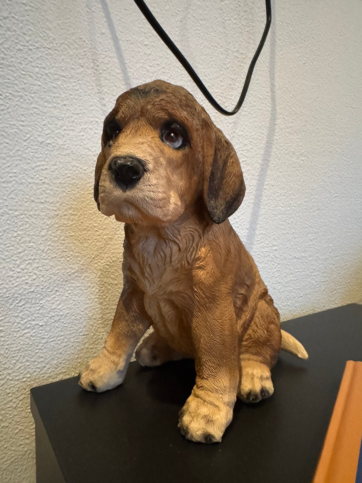 Nieuw, hond beeldje, Ophalen of Verzenden, Nieuw, Dier